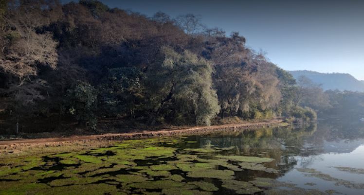 Jogi Mahal Ranthambhore near Padam Talao – Historic Palace inside Ranthambhore National Park used during safari tour