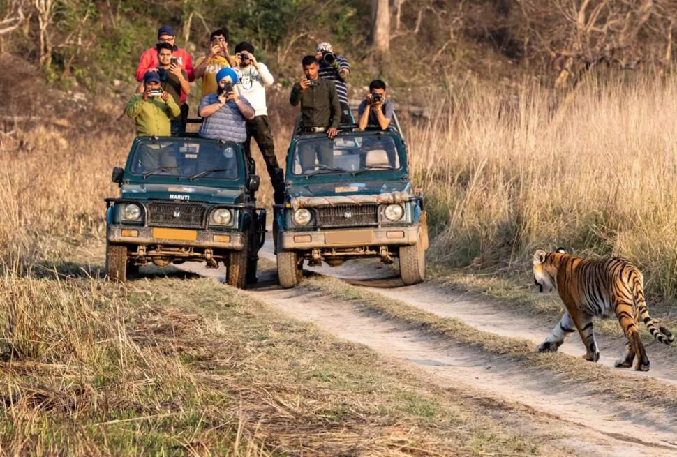 Book Safari For Ranthambore National Park Ranthambore National Park